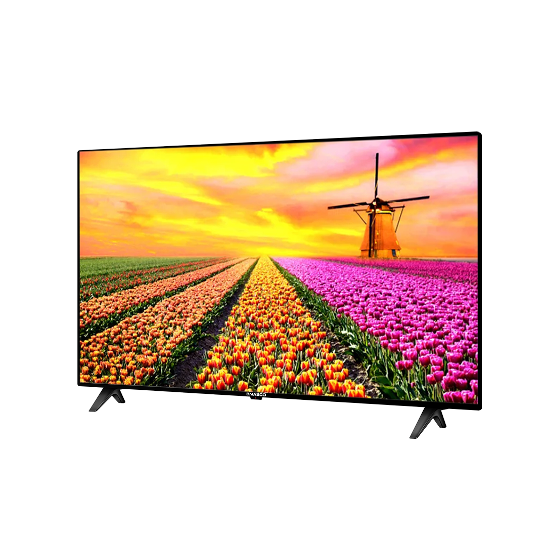 Nasco NAS-B24FB-A 24-Inch LED Satellite TV - Image 2