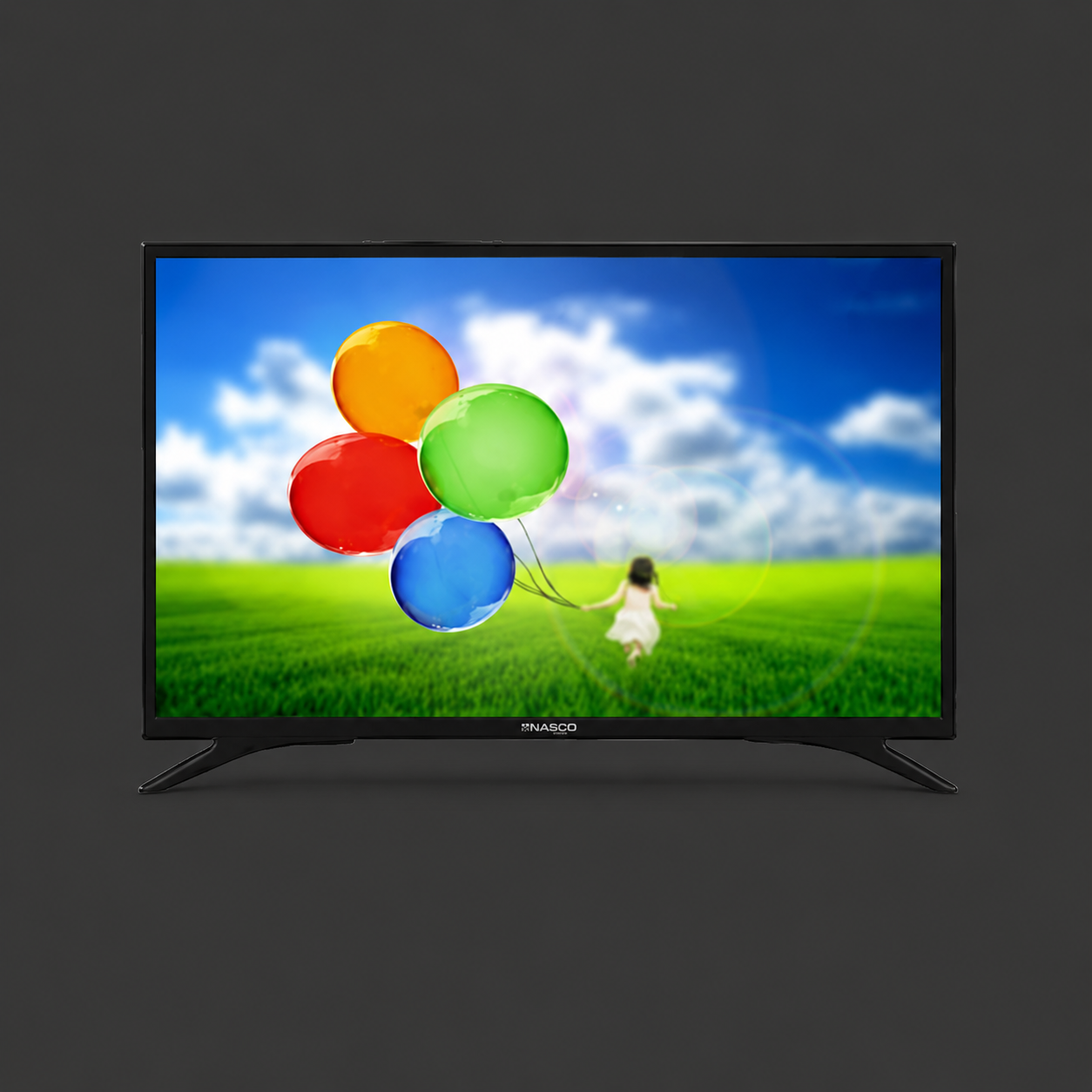 Nasco NAS-J24FB 24-Inch LED Satellite TV - Image 2
